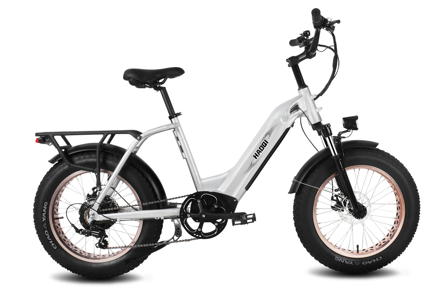 HAOQI Antelope Pro 750W Cargo Electric Bike (UL Certified)