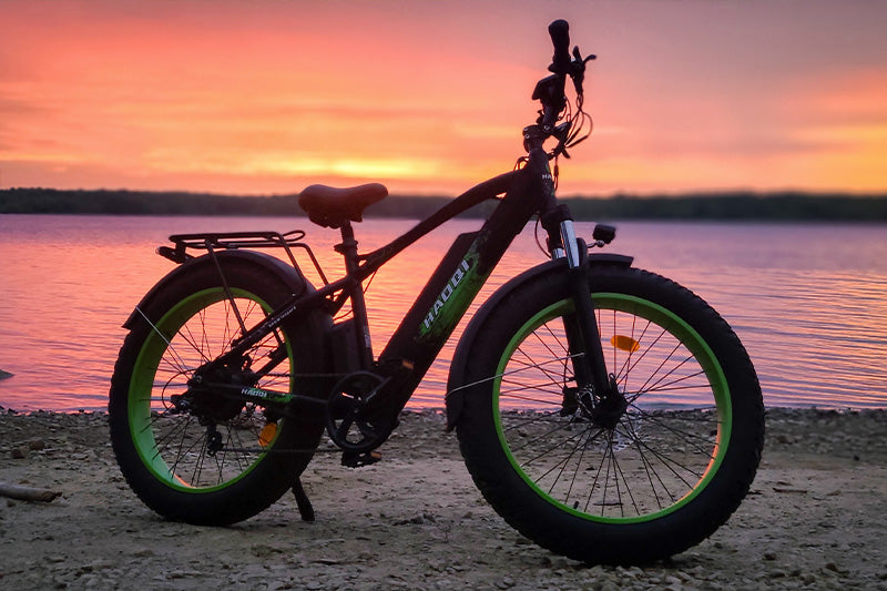HAOQI Green Leopard Pro Fat Tire Electric Bike (UL Certified)