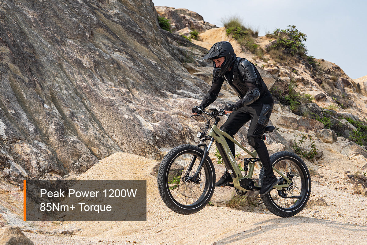 HAOQI Cheetah Full Suspension Electric Bike (UL Certified)