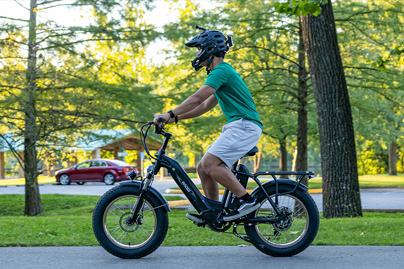 HAOQI Antelope Pro 750W Cargo Electric Bike (UL Certified)