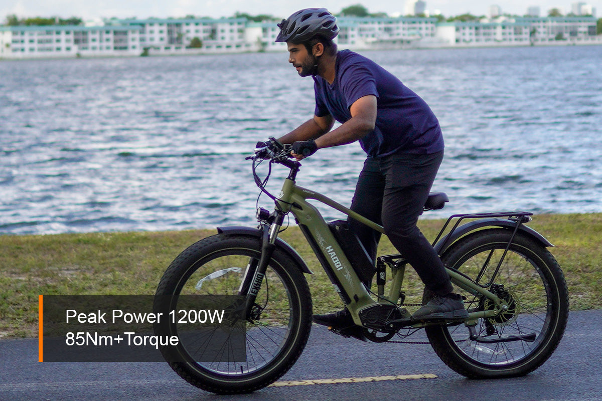HAOQI Cheetah Full Suspension Electric Bike (UL Certified)