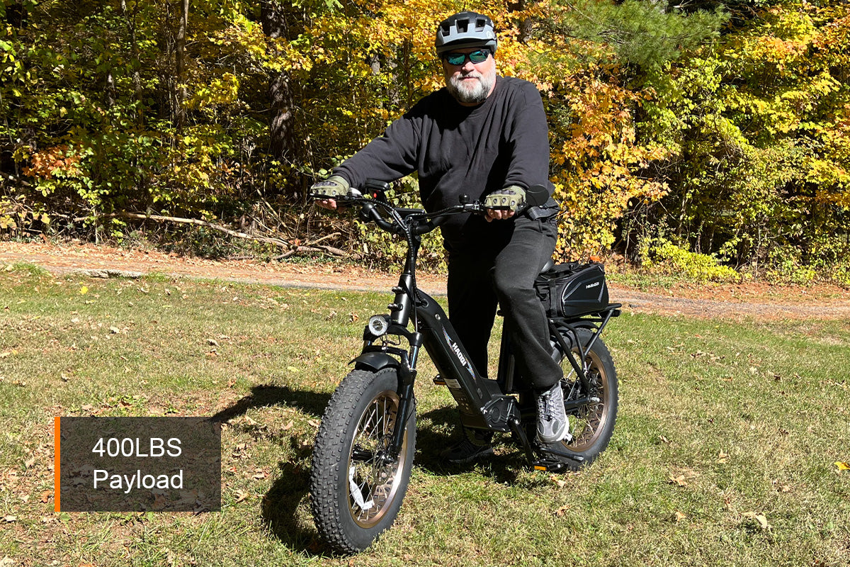 HAOQI Antelope Pro Cargo Electric Bike (UL Certified)