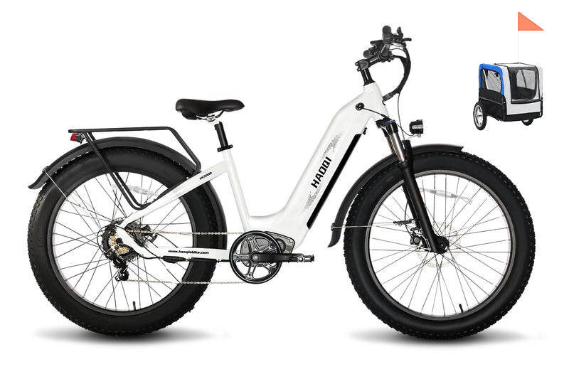 HAOQI Eagle Long Range Electric Bicycle (UL Certified)