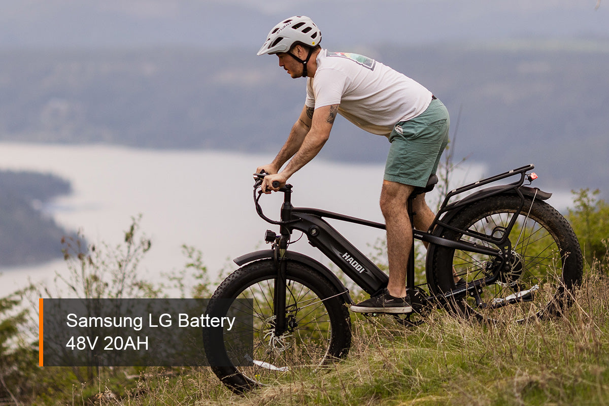 HAOQI Eagle Long Range Electric Bicycle (UL Certified)