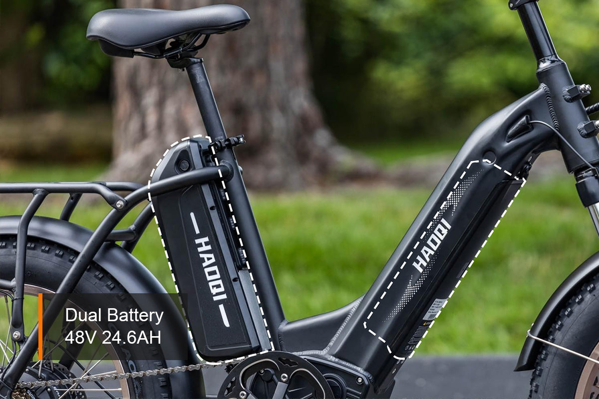 HAOQI Antelope Pro Cargo Electric Bike (UL Certified)