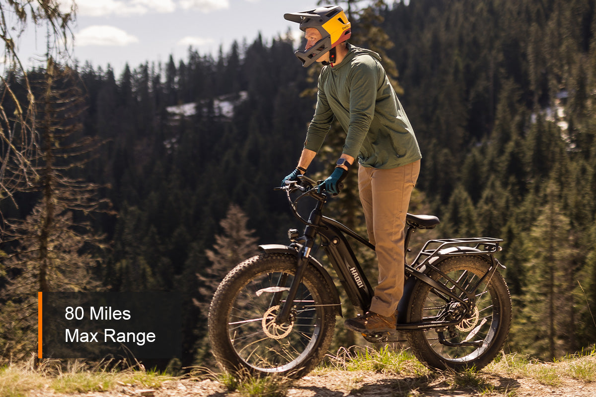HAOQI Eagle Long Range Electric Bicycle (UL Certified)