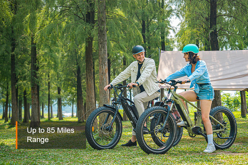 HAOQI Cheetah Full Suspension Electric Bike (UL Certified)