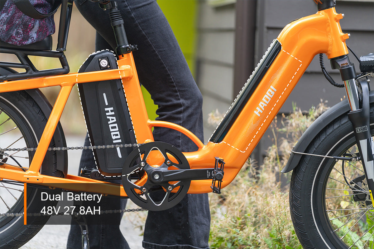 HAOQI Camel Electric Cargo Bike - Latest SUV Ebike (UL Certified)