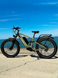 HAOQI Cheetah Full Suspension Electric Bike