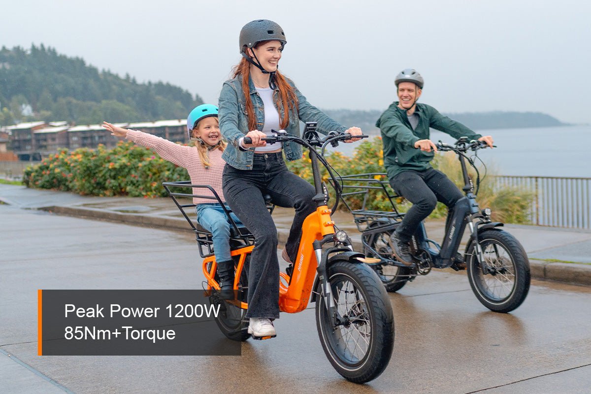 HAOQI Camel Electric Cargo Bike - Latest SUV Ebike (UL Certified)