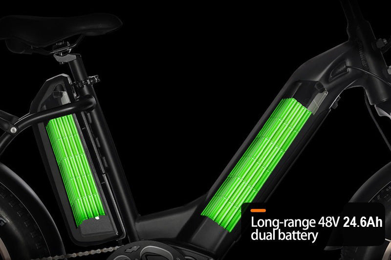 HAOQI Antelope Pro 750W Cargo Electric Bike (UL Certified)