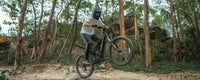 HAOQI Mustang Premium Electric Mountain Bike (UL Certified)