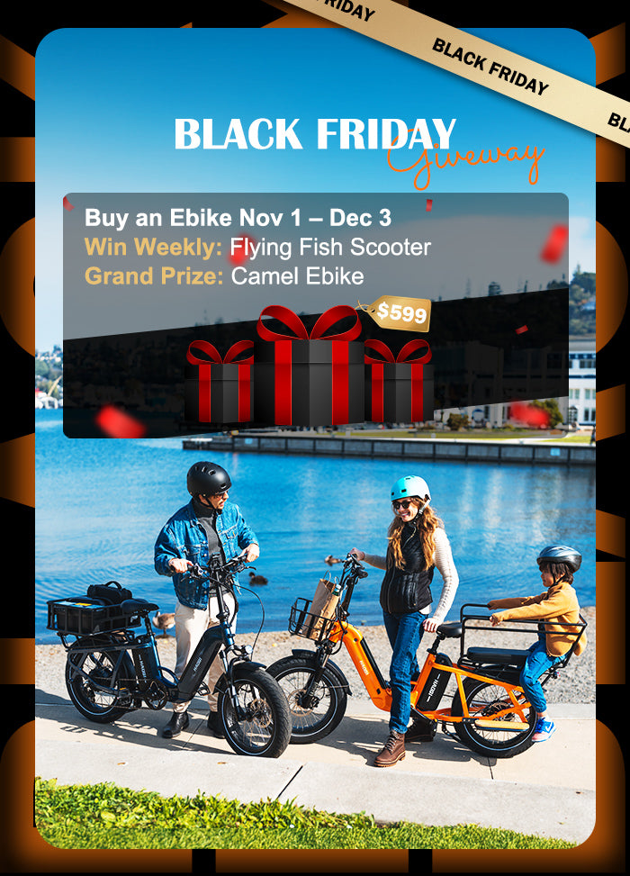 HAOQI Foldable Ebike Cargo Trailer - Main Image