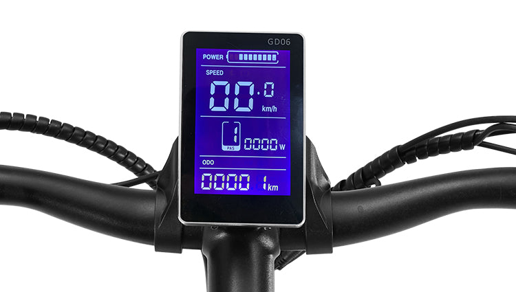 HAOQI EBIKE Intelligent LCD Display