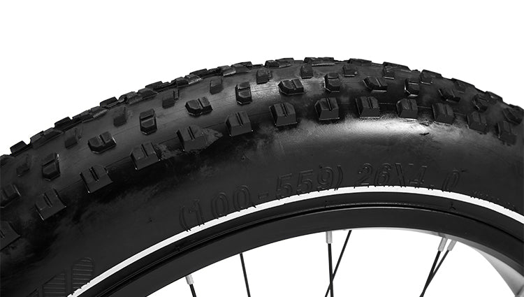 HAOQI EBIKE Fat Tire All-Terrain Use