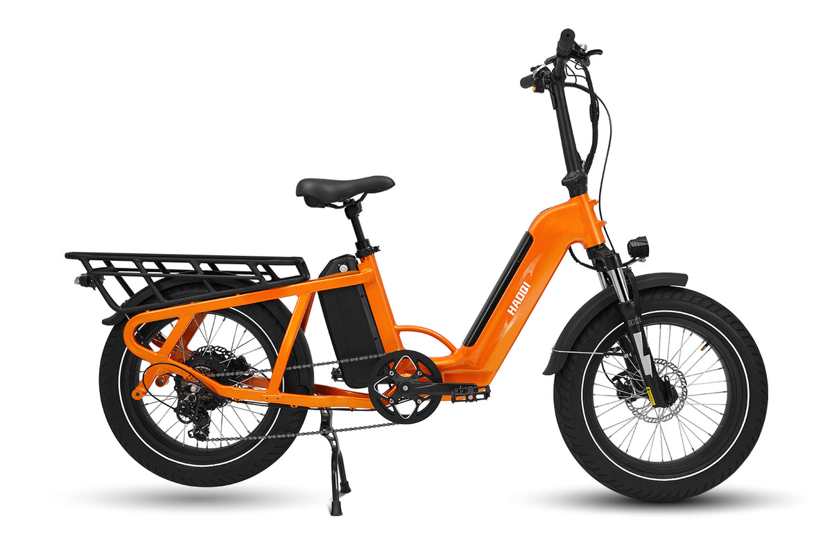electric cargo bicycle HAOQI Camel Bike Color:Jade/Silver Scale Trek Bicycle Gainesville | Handlebar_Style: Upright BMX Bars compliant with UL2271 and