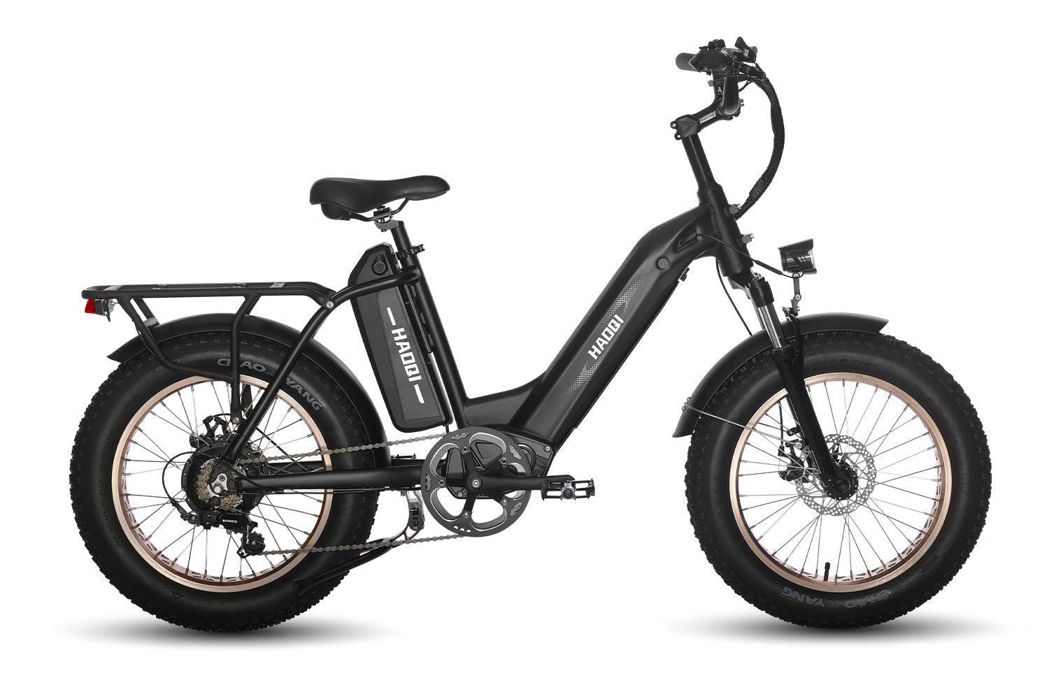 HAOQI Antelope Pro 750W 25Ah Cargo Electric Bike [electric bike] [HAOQI ebike]