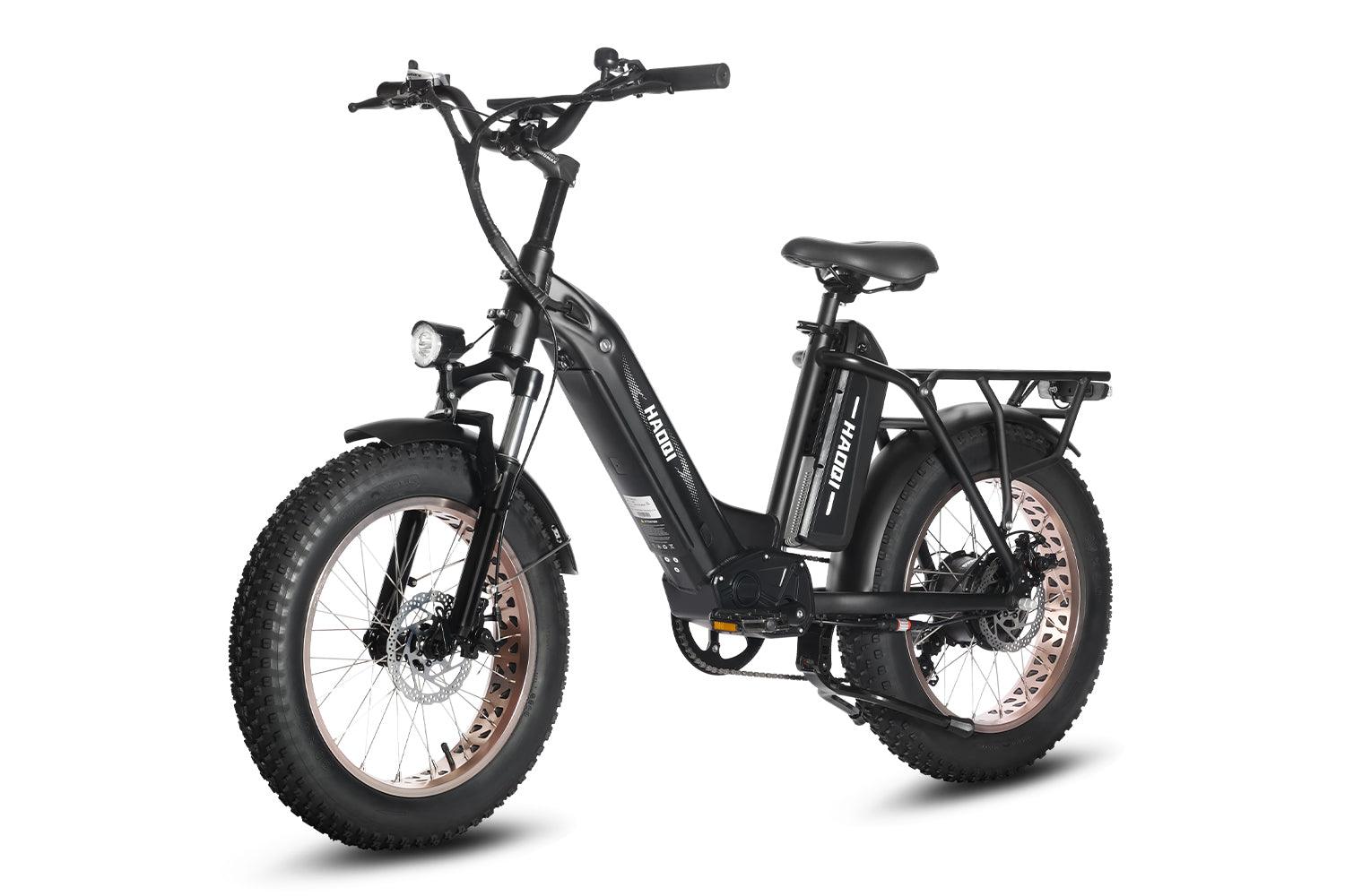 HAOQI Antelope Pro 750W 25Ah Cargo Electric Bike [electric bike] [HAOQI ebike]