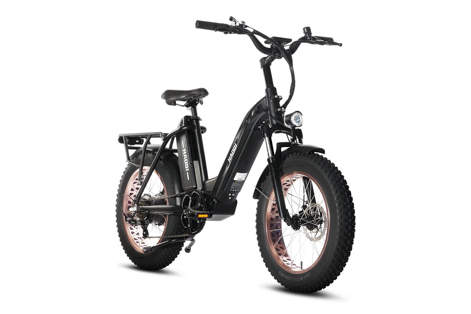 HAOQI Antelope Pro 750W 25Ah Cargo Electric Bike [electric bike] [HAOQI ebike]