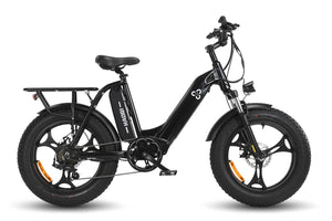 HAOQI Antelope 500W Cargo Electric Bike [electric bike] [HAOQI ebike]
