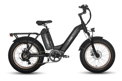 HAOQI Antelope Pro 750W Cargo Electric Bike [electric bike] [HAOQI ebike]