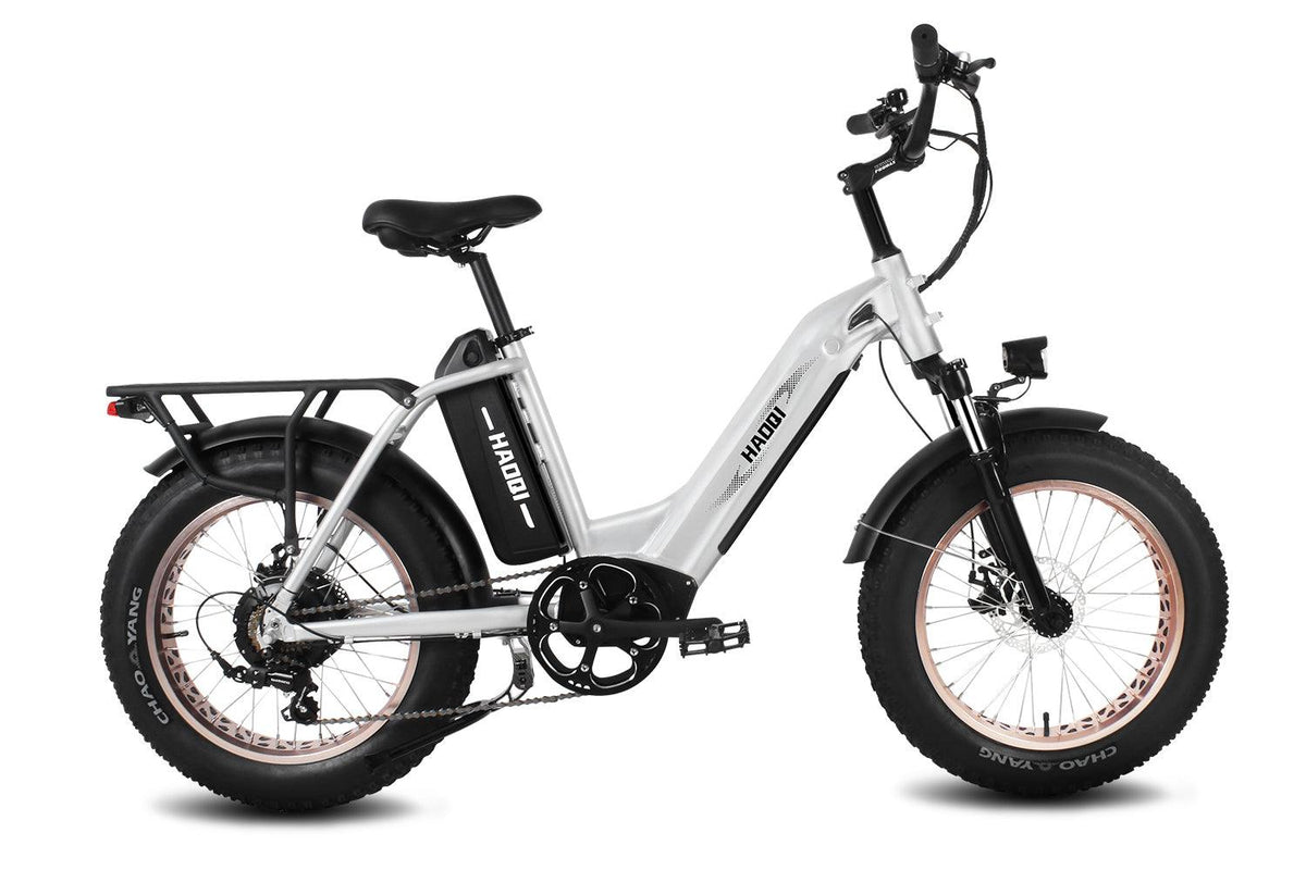 hybikes electric bicycles HAOQI Antelope Pro 750W 25Ah Cargo Electric Bike, Black