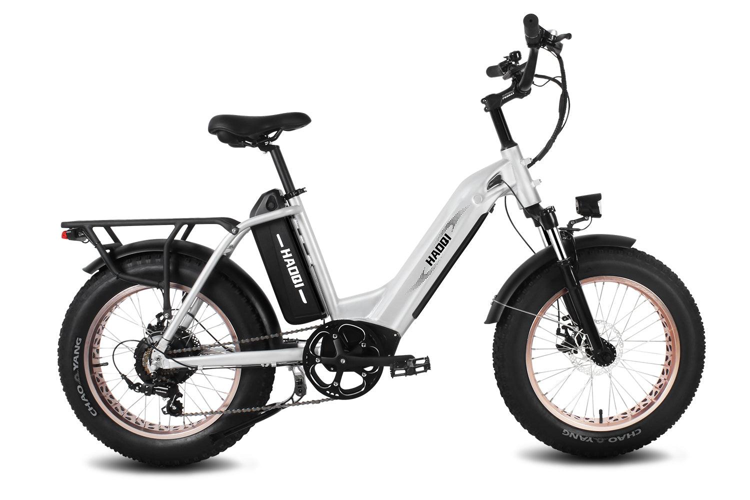 HAOQI Antelope Pro 750W Cargo Electric Bike (UL Certified) [electric bike] [HAOQI ebike]