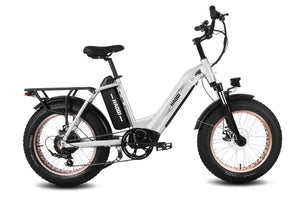 HAOQI Silver Antelope Pro 750W Cargo Electric Bike [electric bike] [HAOQI ebike]