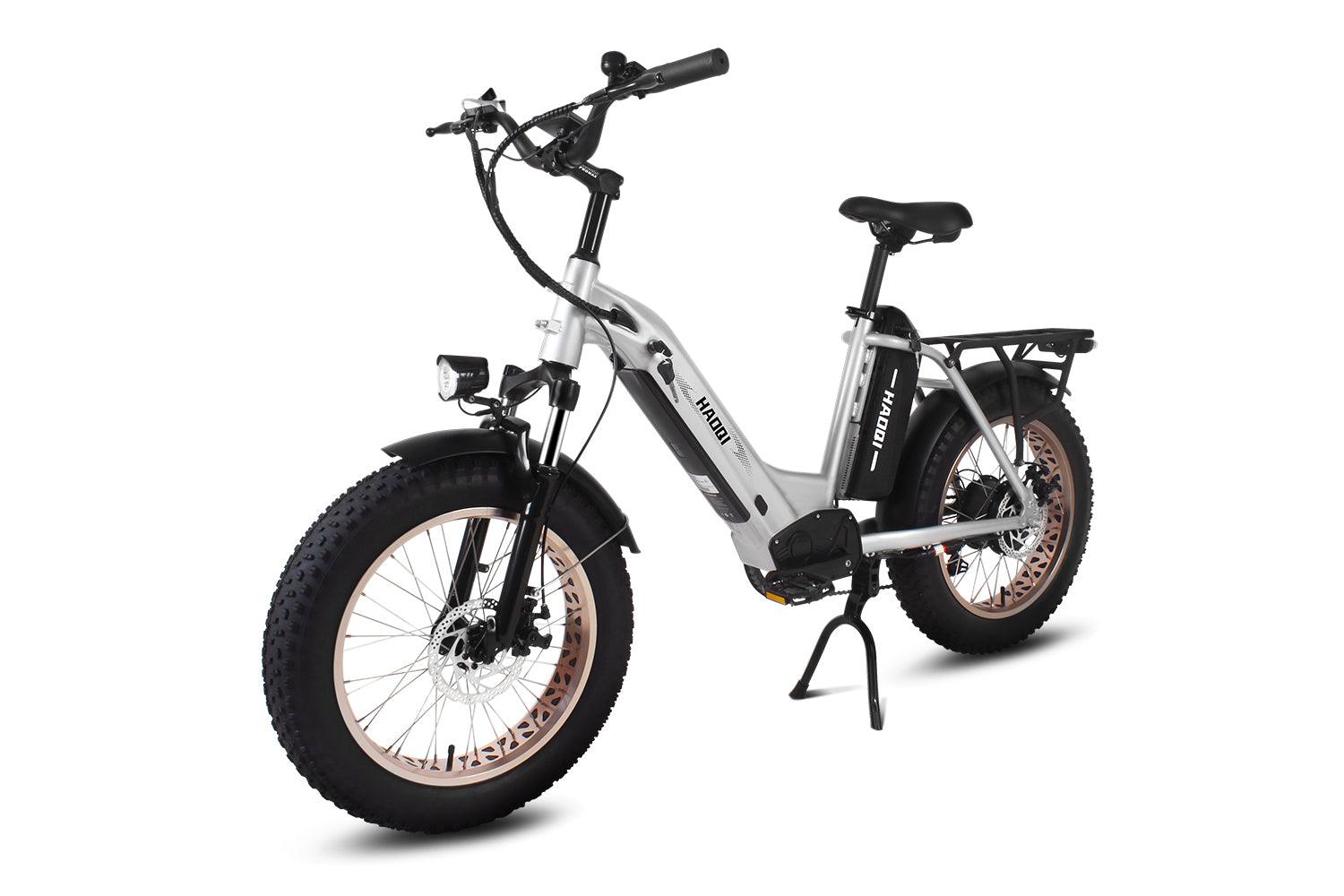 HAOQI Antelope Pro 750W Cargo Electric Bike (UL Certified) [electric bike] [HAOQI ebike]