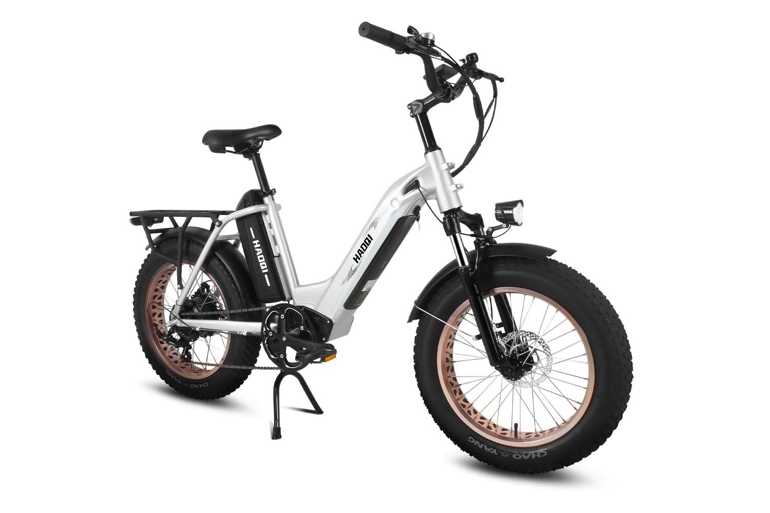 HAOQI Silver Antelope Pro 750W Cargo Electric Bike [electric bike] [HAOQI ebike]