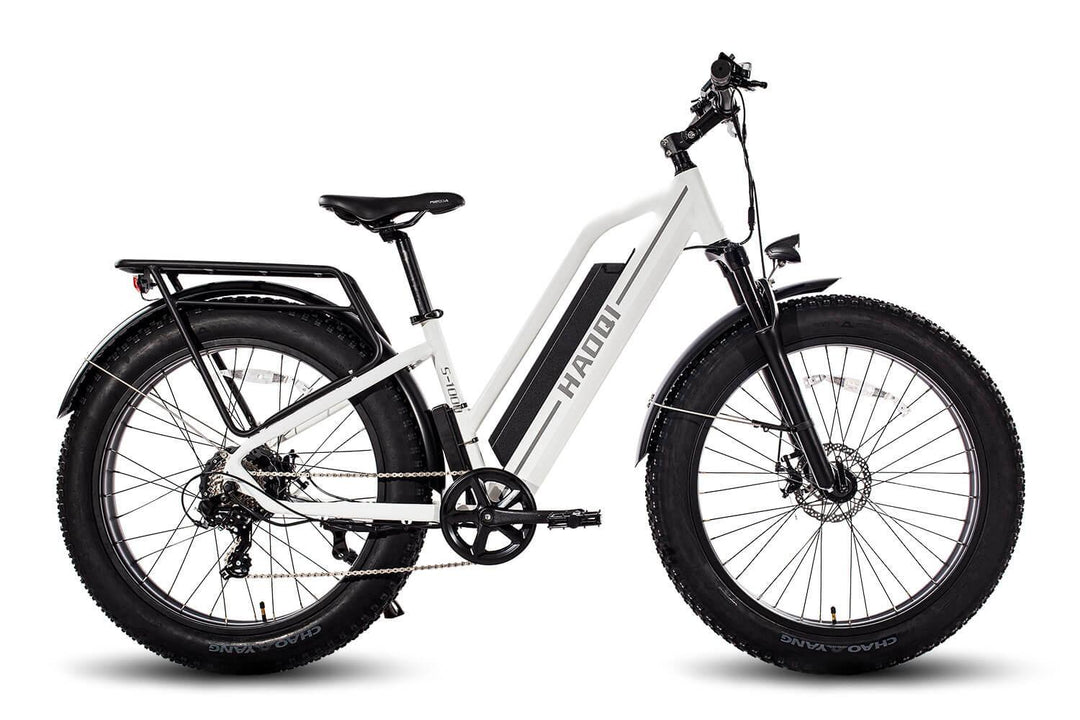 Valentine's Day Gifts For Him HAOQI White Leopard Pro Step Thru Electric Bike